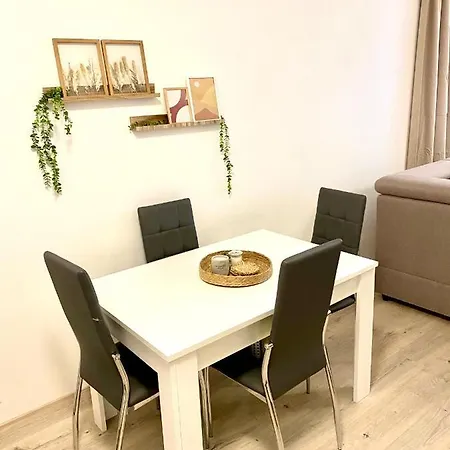 The Elite Downtown A/c & Garage Parking براتسيلافا