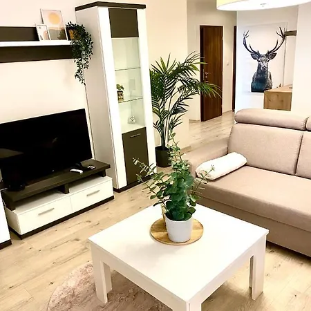 The Elite Downtown A/c & Garage Parking *